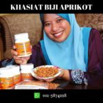 Penawar Kanser Aprikot B17